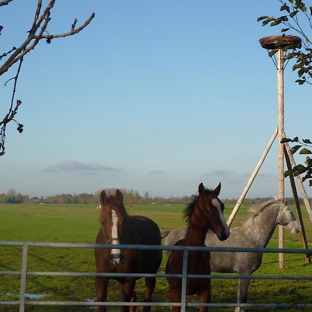 Boerderij "De Verwondering" Goudriaan Exterior foto