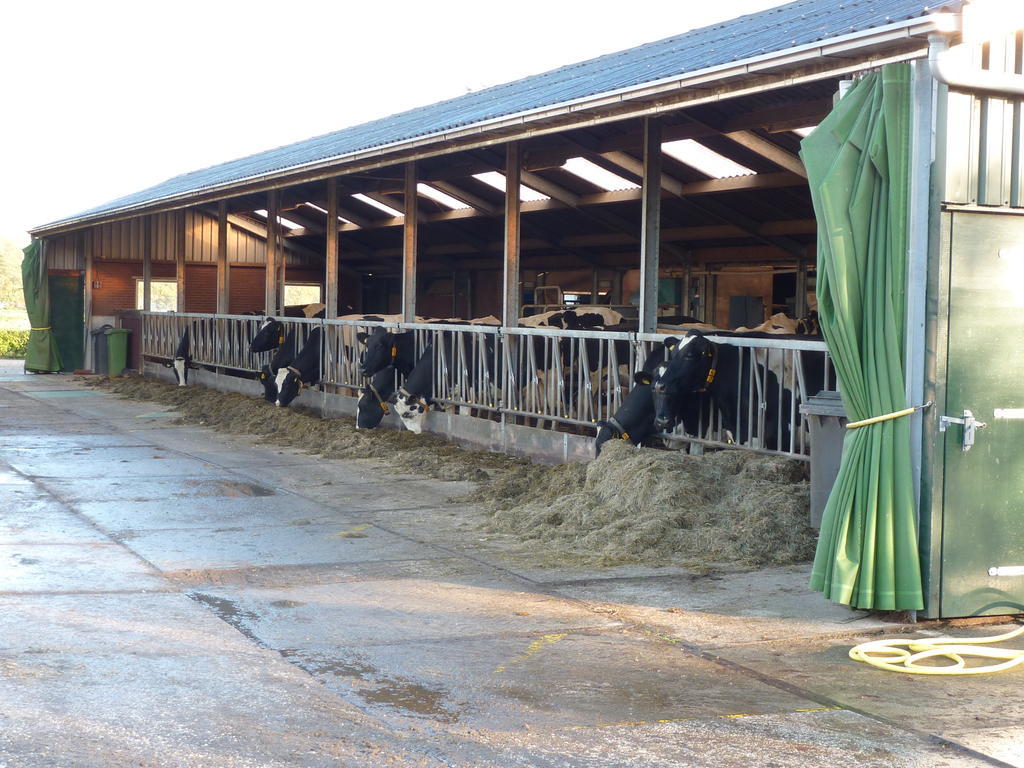 Boerderij "De Verwondering" Goudriaan Exterior foto