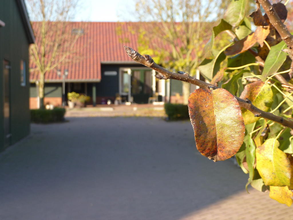 Boerderij "De Verwondering" Goudriaan Exterior foto